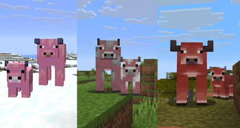 All Variants