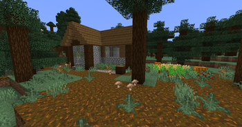 Taiga Abandoned House