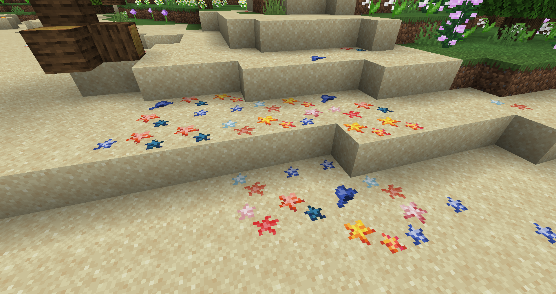 [Let's Do] Seashells - 2