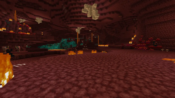 Nether Wastes