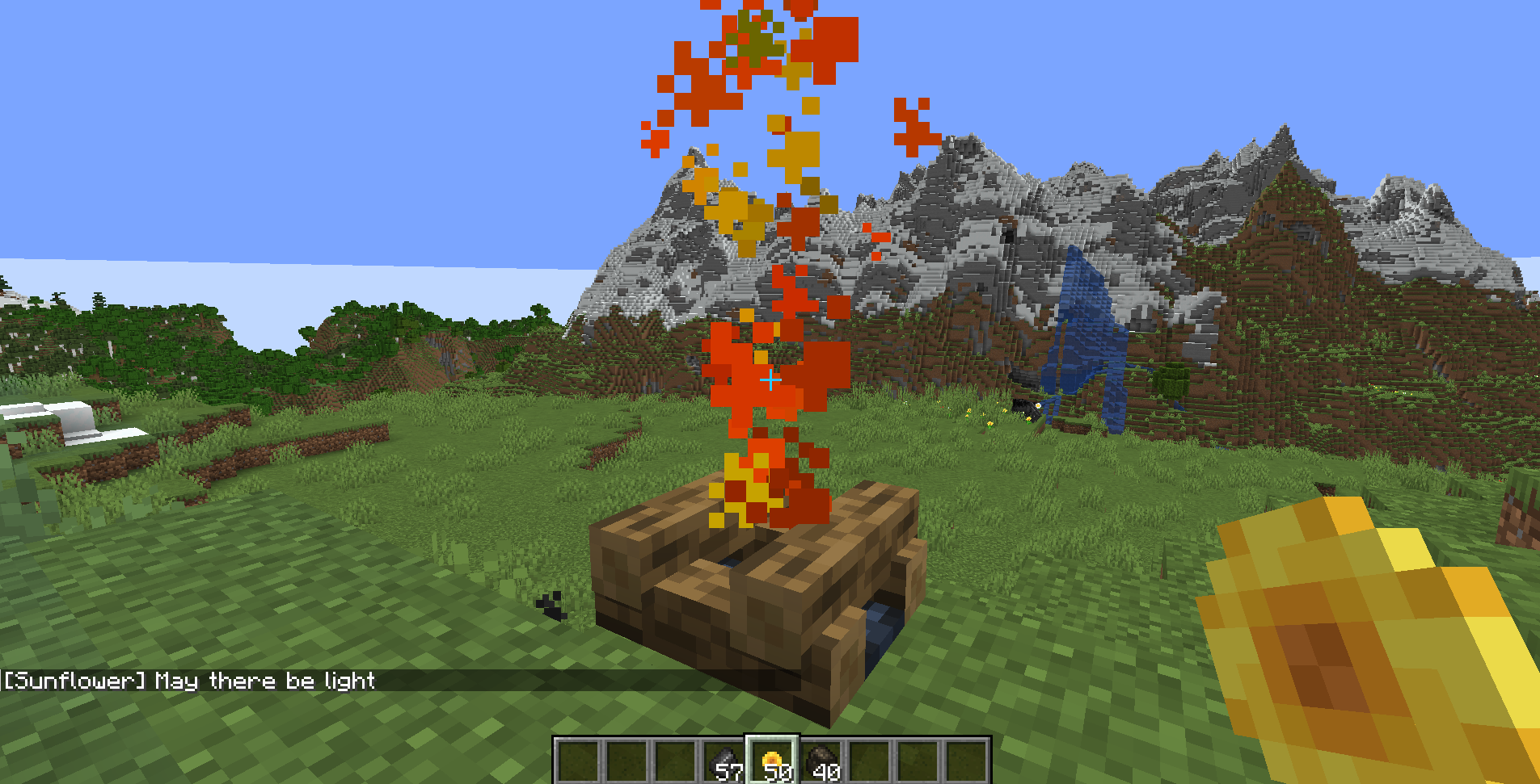 Result of throwing a sunflower on a lit campfire