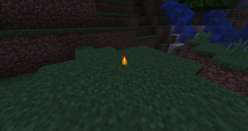 SCP-457 flame