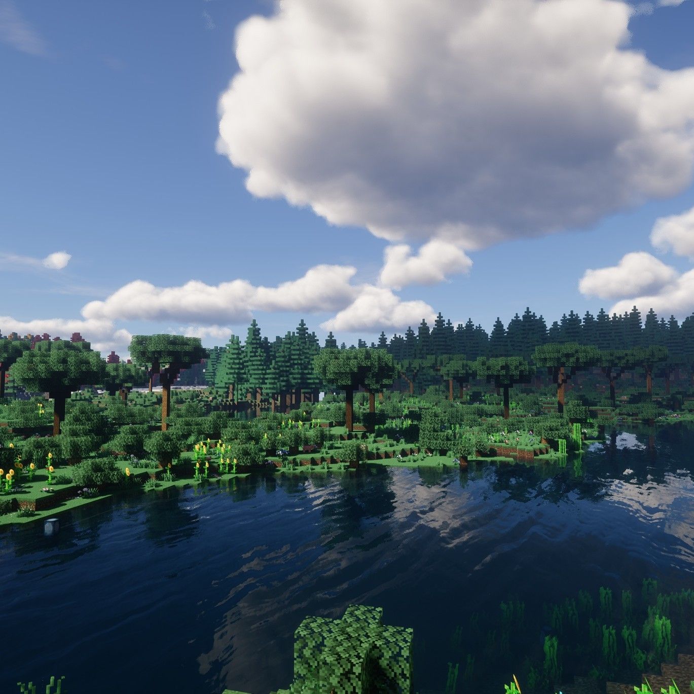 The Charm of Nature