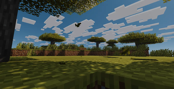 Falling leaves