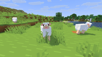Fresh Animations x Bare Bones Better Sheep