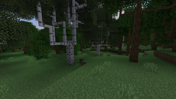 Blast Plaster with Alex's Caves