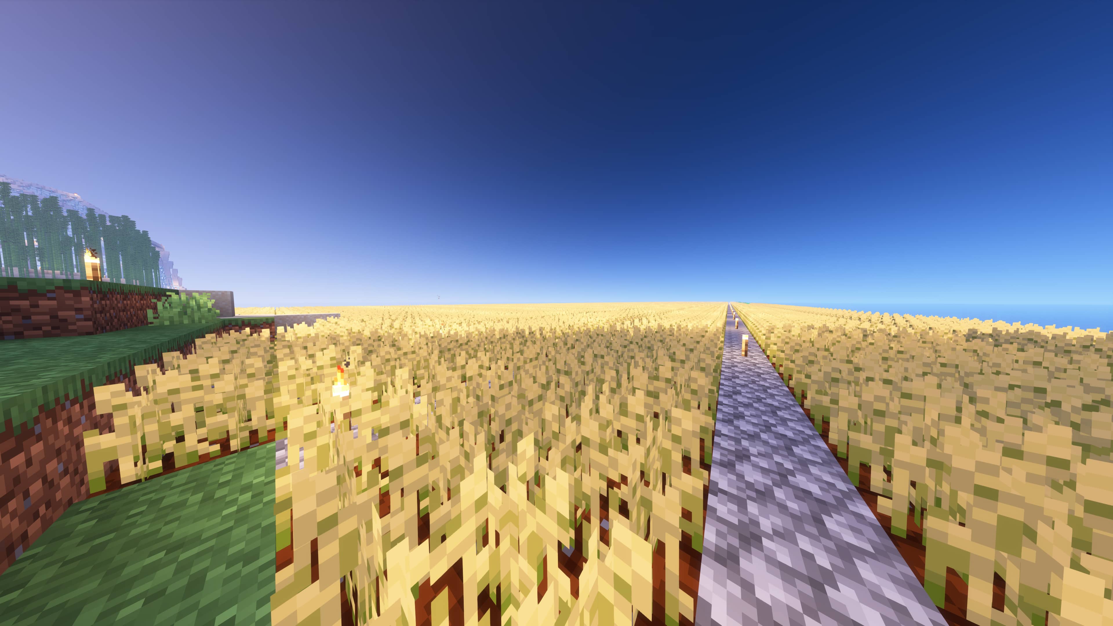 One of my friend's wheat-flats, "Dad Farm".