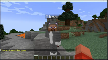 Spawning a bot "Steve"