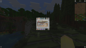 Items 1