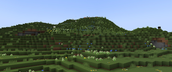 Grassy Mountain