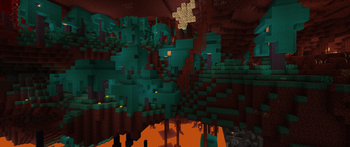Warped Forest