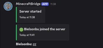 Server started, player joined, minecraft chat message