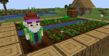 Gnome in Wild