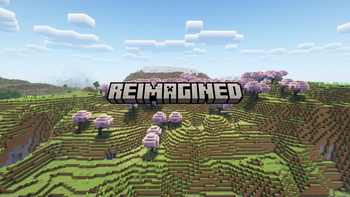 Reimagined 1.20