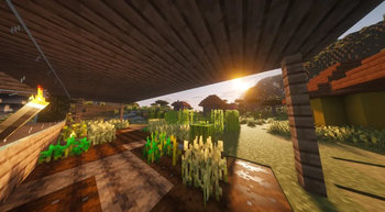 Shader
