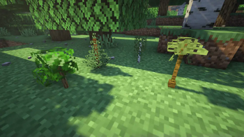 3D saplings