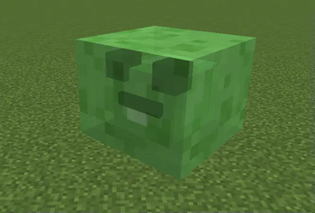 slimnerd