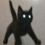 Rizvo