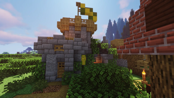 Village Structure