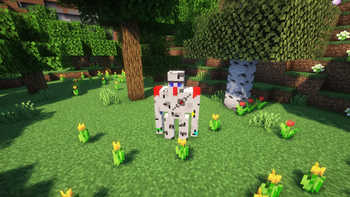 Front view 2 [New version]