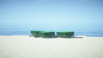 turtles