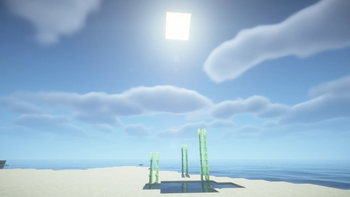 sun