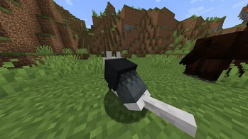 Half Colored Pattern