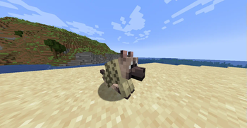 A wolf with the "weird" stripes pattern