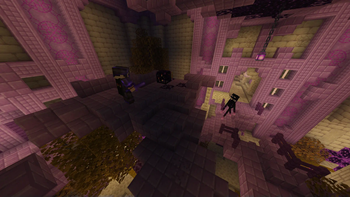 Fighting an Enderman