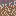 A's Apocalypses: shroom doom