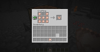 Chicken armor