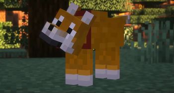 Shiba-dog