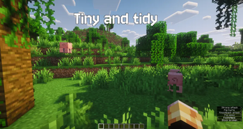 Tiny and tidy