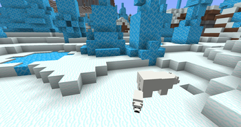 Snow and Ice