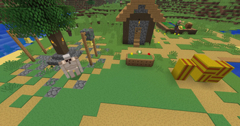 Village