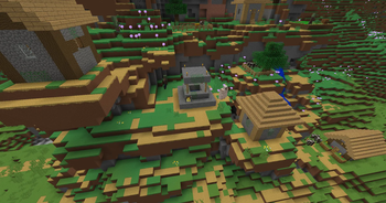 Village