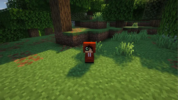 peeb