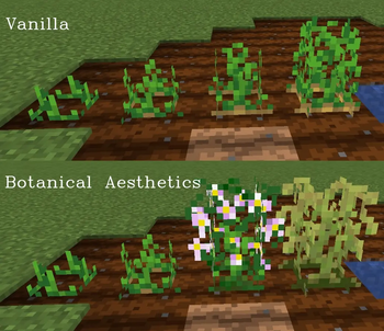 Potato comparison