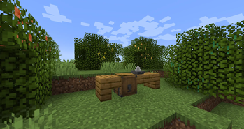 Workstations and Citrus Tree