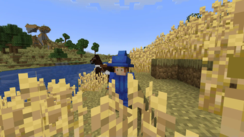 Wheat Plains