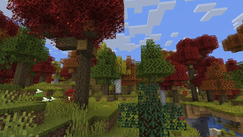 Forest