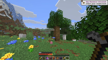 Early Gameplay