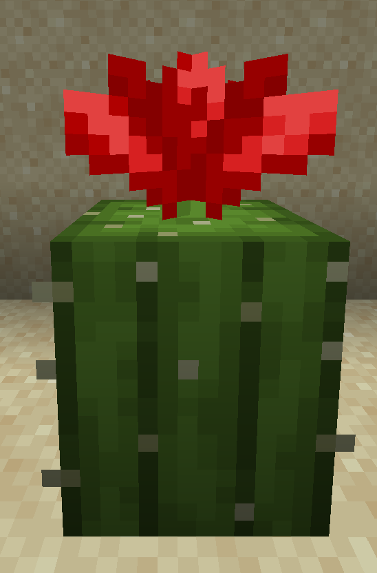 Cactus Flower