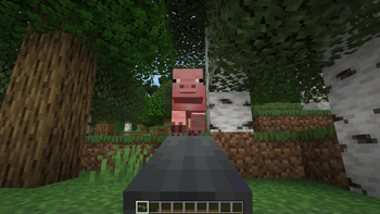 Pig