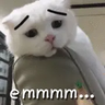 Frank_7h