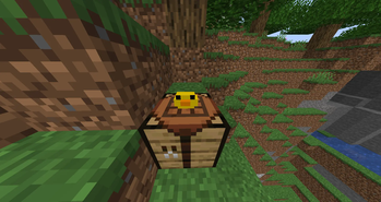 Rubber Duck in Game
