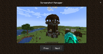 Screenshot Manager