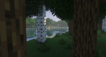 Solas Shader