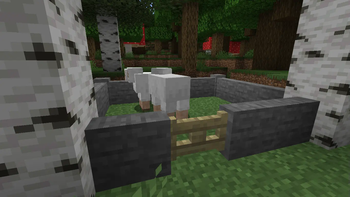 Stony sheeps
