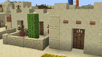 Jungle doors in a Desert village